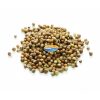 Coriander Whole 500g