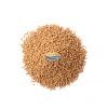 Mustard Seeds Brown