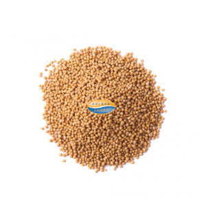 Mustard Seeds Brown